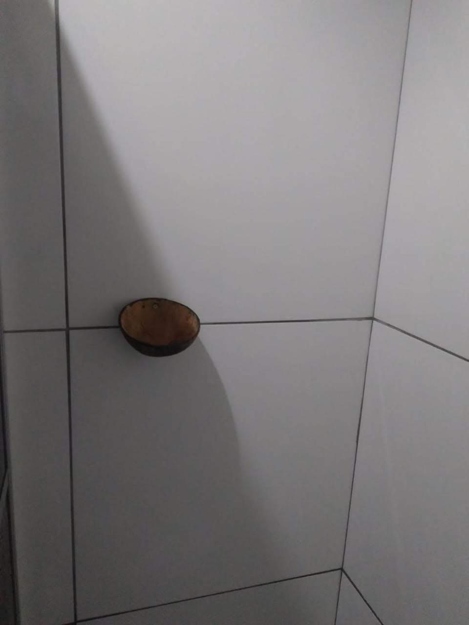 Flats E Suites Toque Dos Milagres São Miguel dos Milagres Dış mekan fotoğraf